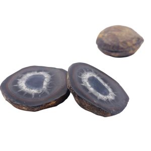 Septarie geode