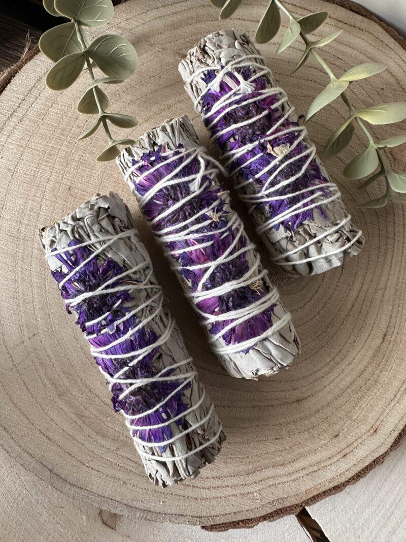 wittesalie paarse bloemen