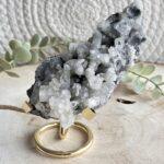 Apofyliet op en gouden standaard