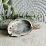 Abalone schelp 7-9 cm