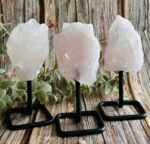 Rozenkwarts Op standaard