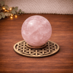 bolhouder bloem des levens