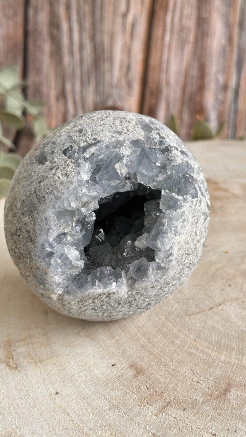 Celestien Bol